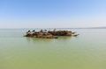 Etiopia, lago Tana, marca di papiro.